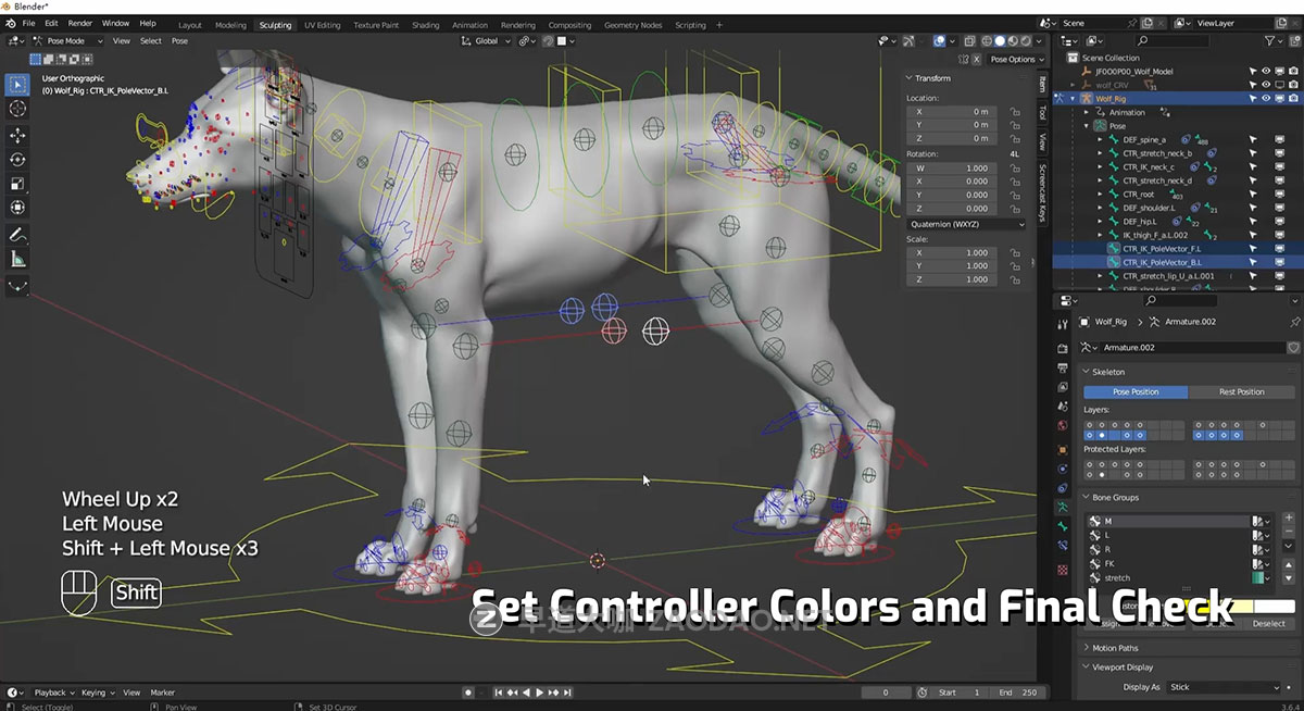 Vfx Grace Animal Creature Rigging Blender生物骨骼绑定行走动画视频教程 中英文字幕插图3