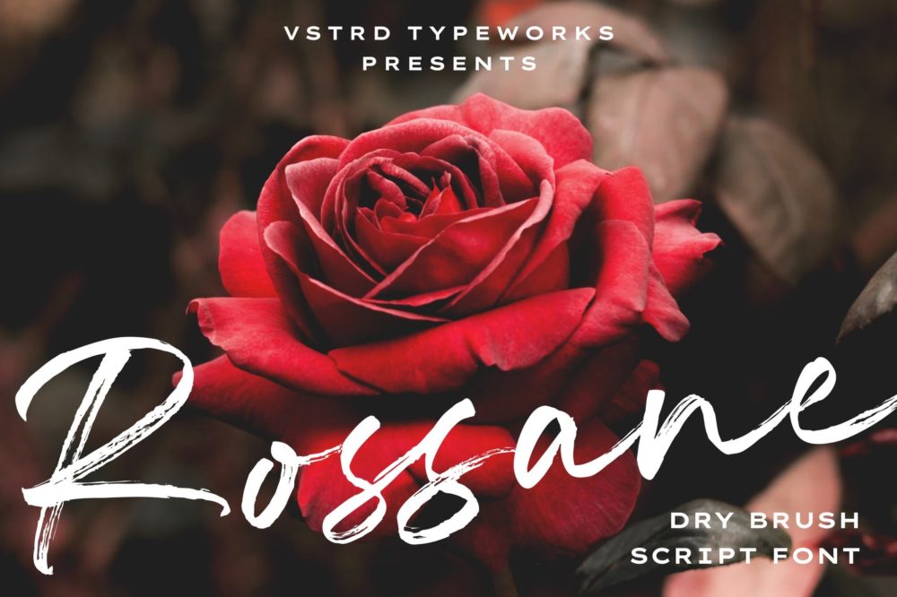 时尚海报传单品牌服装设计手写英文字体安装包 Rossane – Dry Brush Script Font插图