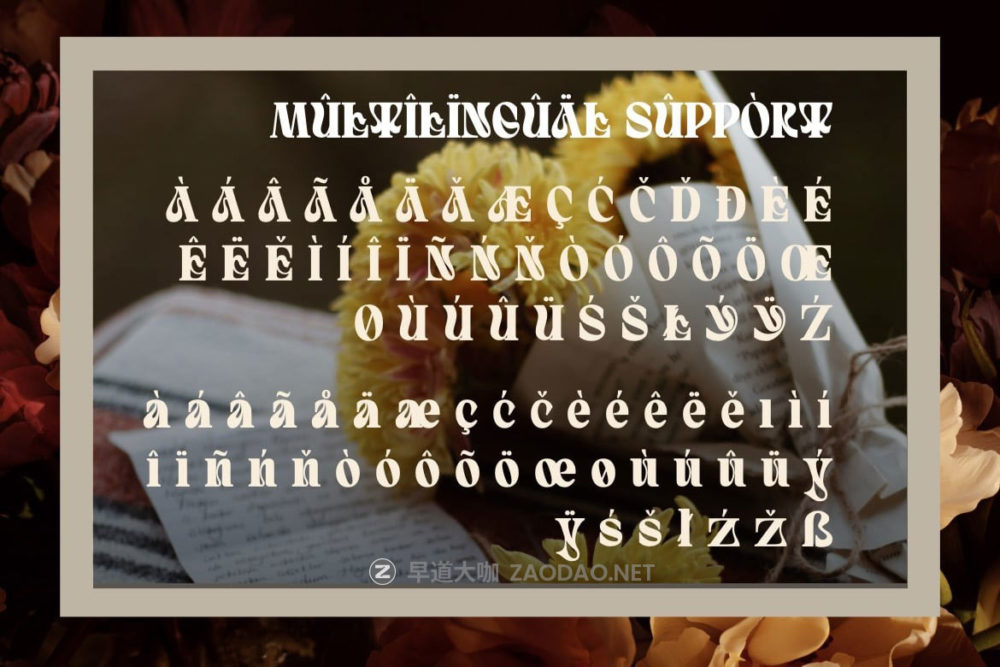现代优雅杂志海报包装徽标设计衬线英文字体安装包 Quivert – Serif Display Font插图9