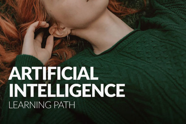 [独家AI翻译] PS/LR照片AI智能修图合成调色基础知识课程 中英文字幕 Phlearn – AI Learning Path