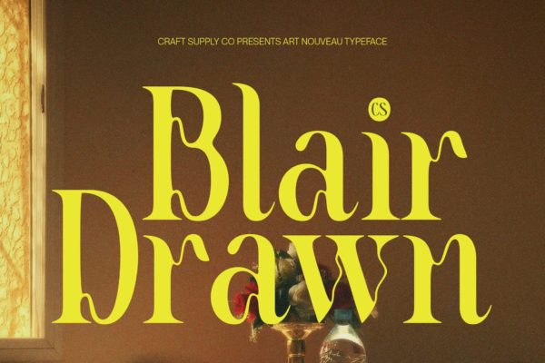 现代时尚新艺术风格品牌包装邀请函设计衬线英文字体 Blair Drawn