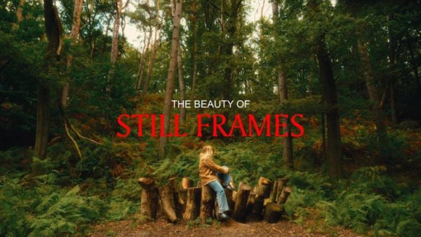 Blastwave FX Forest and Woodlands 46组户外旅拍森林自然环境音效电影广告游戏音效/配乐素材