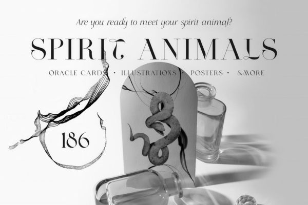 Spirit Animals. Oracle Cards 32款抽象艺术水墨手绘古风神秘野生动物插图插画png免抠图片素材
