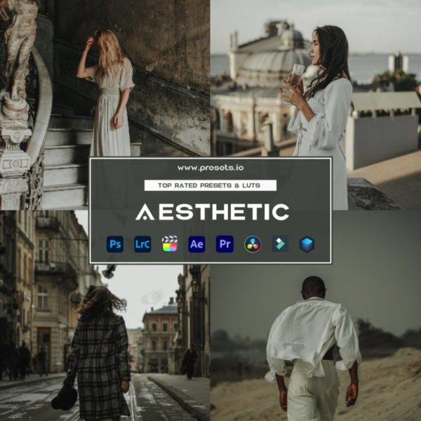 令人惊叹复古怀旧旅行扫街风景人像摄影调色Lightroom预设+LUT预设 Presets.io – Aesthetic Presets Collection