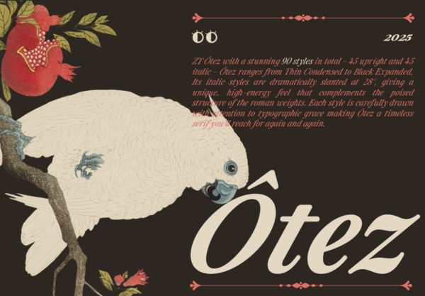 优雅精致品牌杂志海报设计衬线英文字体安装包 ZT Otez