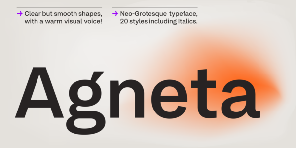 20款字重经典怪诞个性海报杂志排版logo设计无衬线英文字体安装包 Agneta Font Family