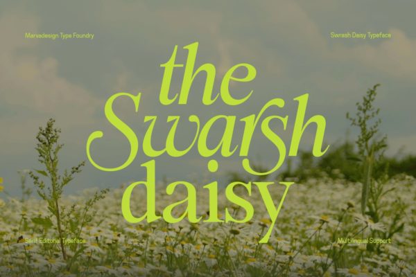 时尚优雅品牌杂志包装设计衬线英文字体安装包 Swarsh Daisy – Elegant Serif Display