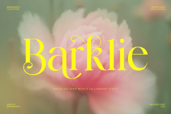 时尚优雅品牌海报婚礼邀请函设计衬线英文字体安装包 Barklie Nostalgic Serif with a Calligraphy Script