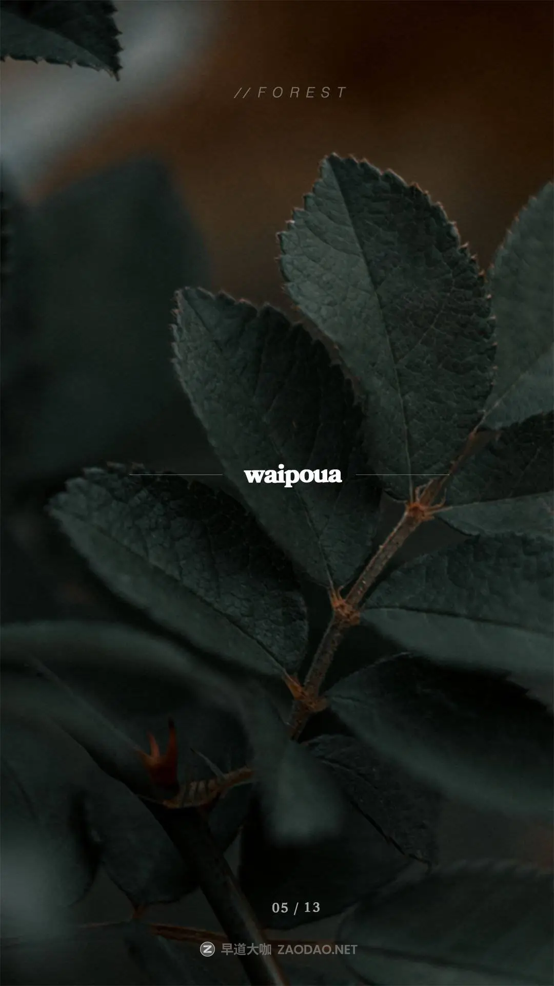 202509196sz9u 202509196sz9u