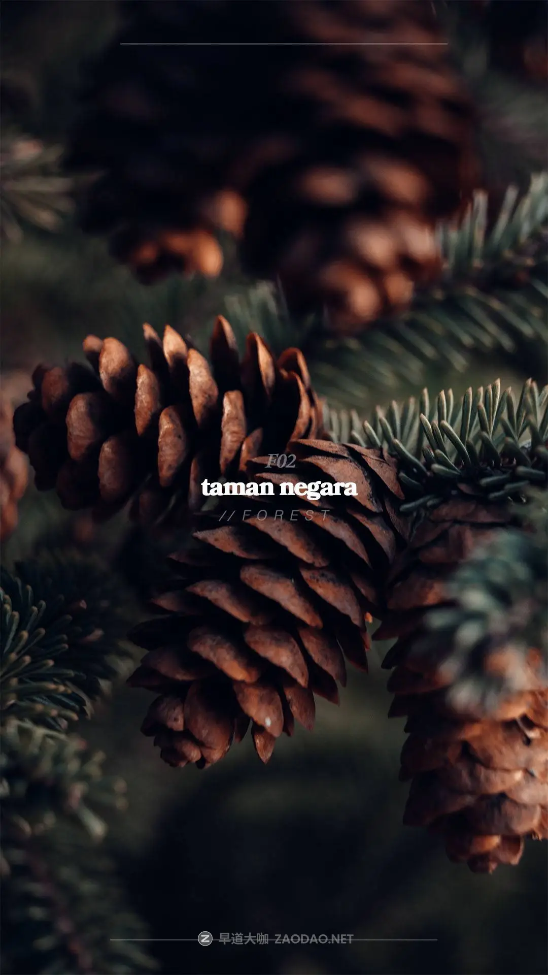 202509198nvr3 202509198nvr3