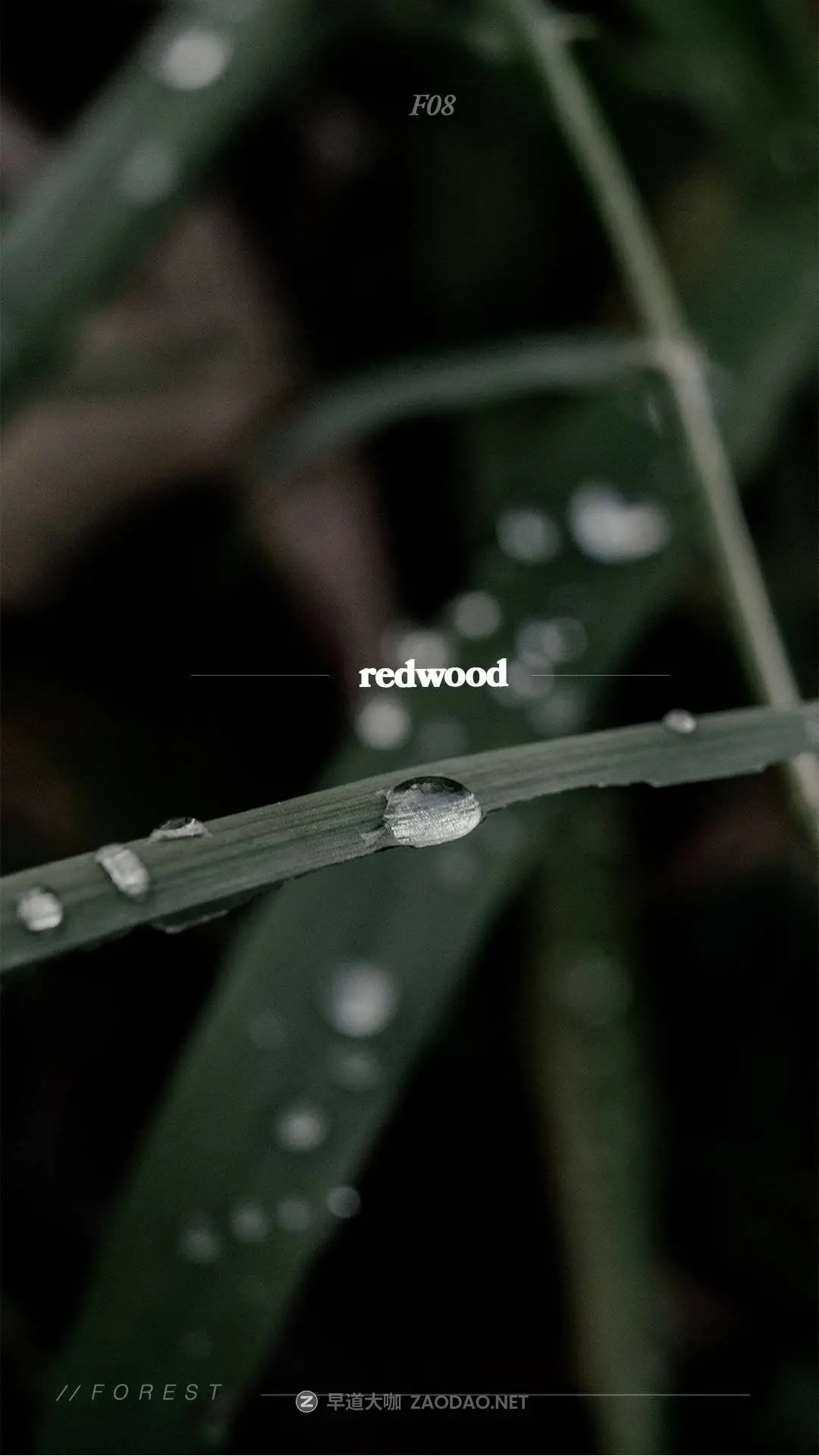 20250919atbi9 20250919atbi9