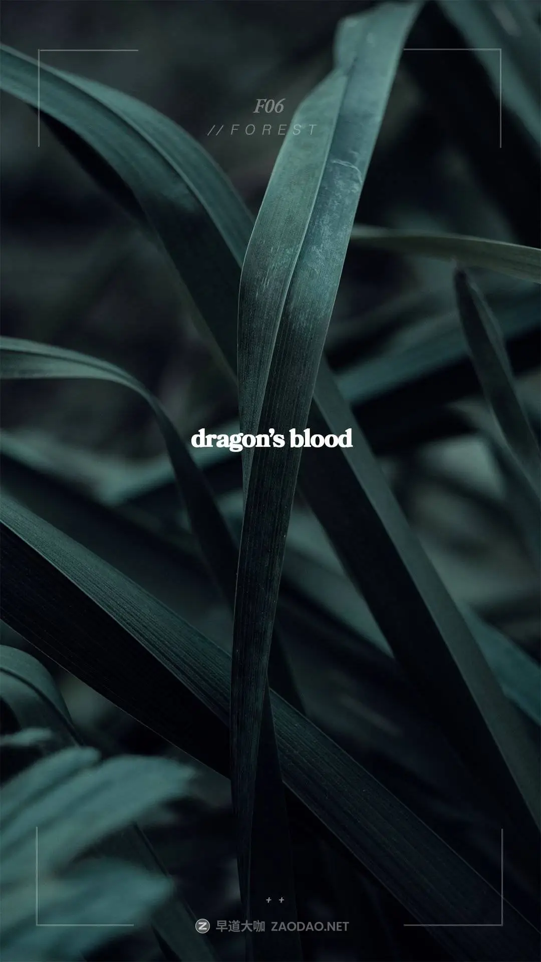 20250919bogtr 20250919bogtr