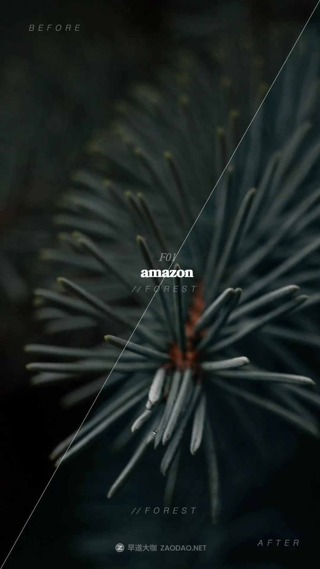 20250919n3qg7 20250919n3qg7