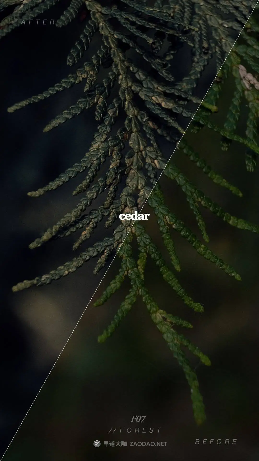 20250919tztef 20250919tztef