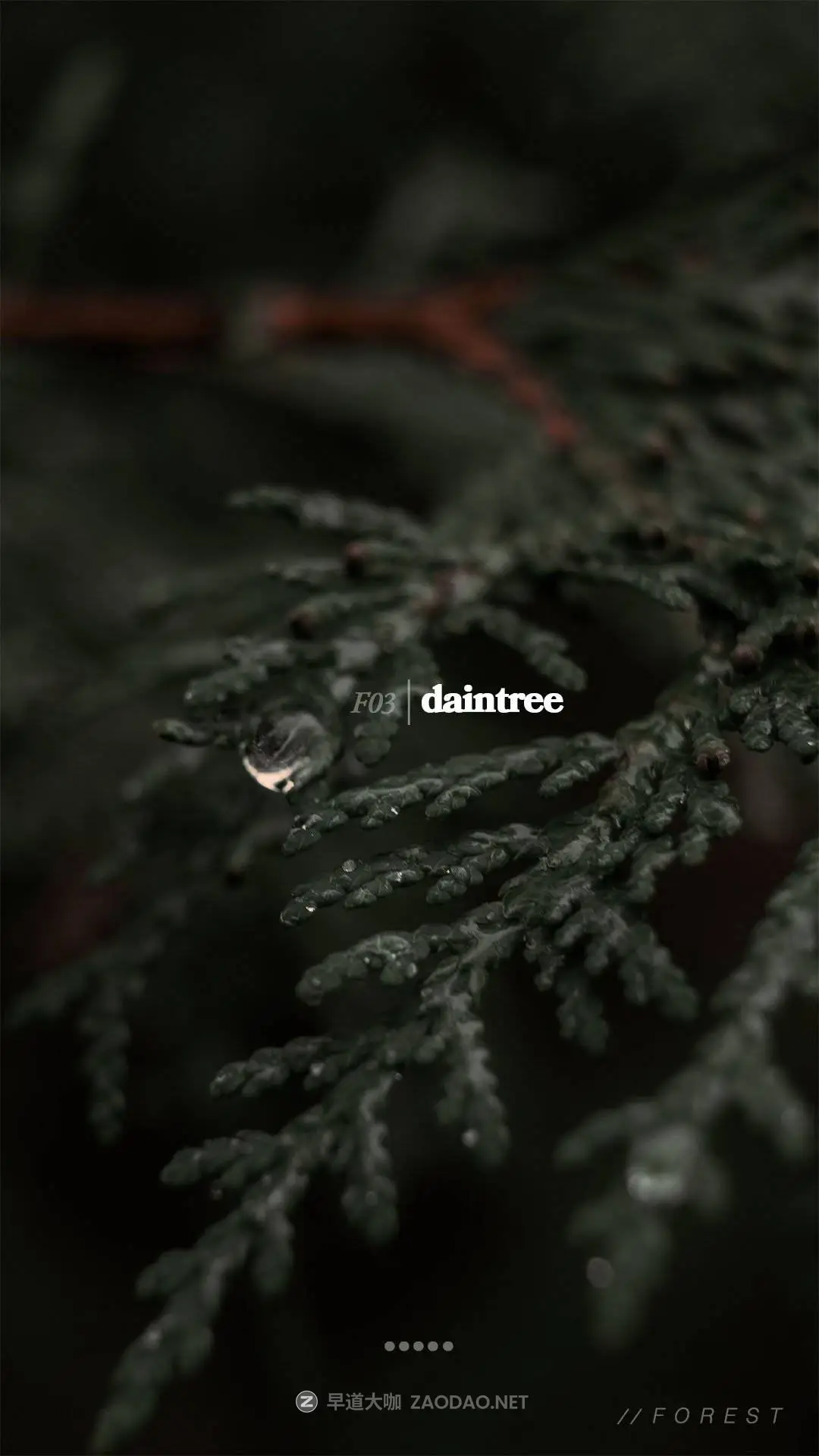 20250919u8lhu 20250919u8lhu