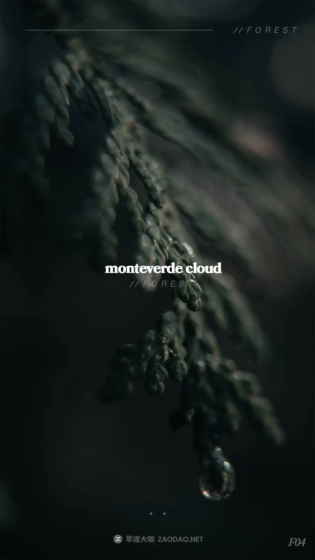 20250919zv3np 20250919zv3np