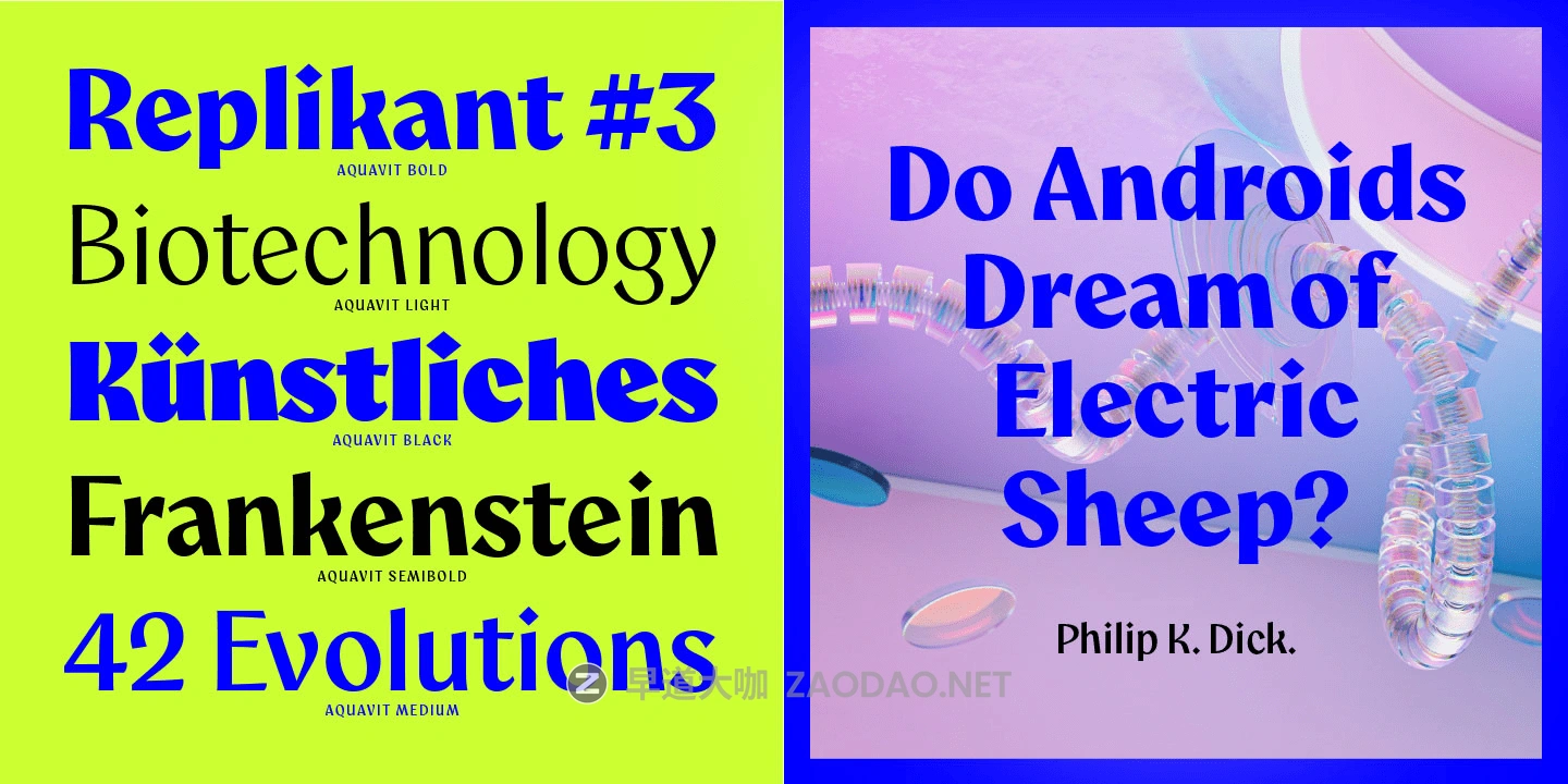 202509306pdrk 202509306pdrk