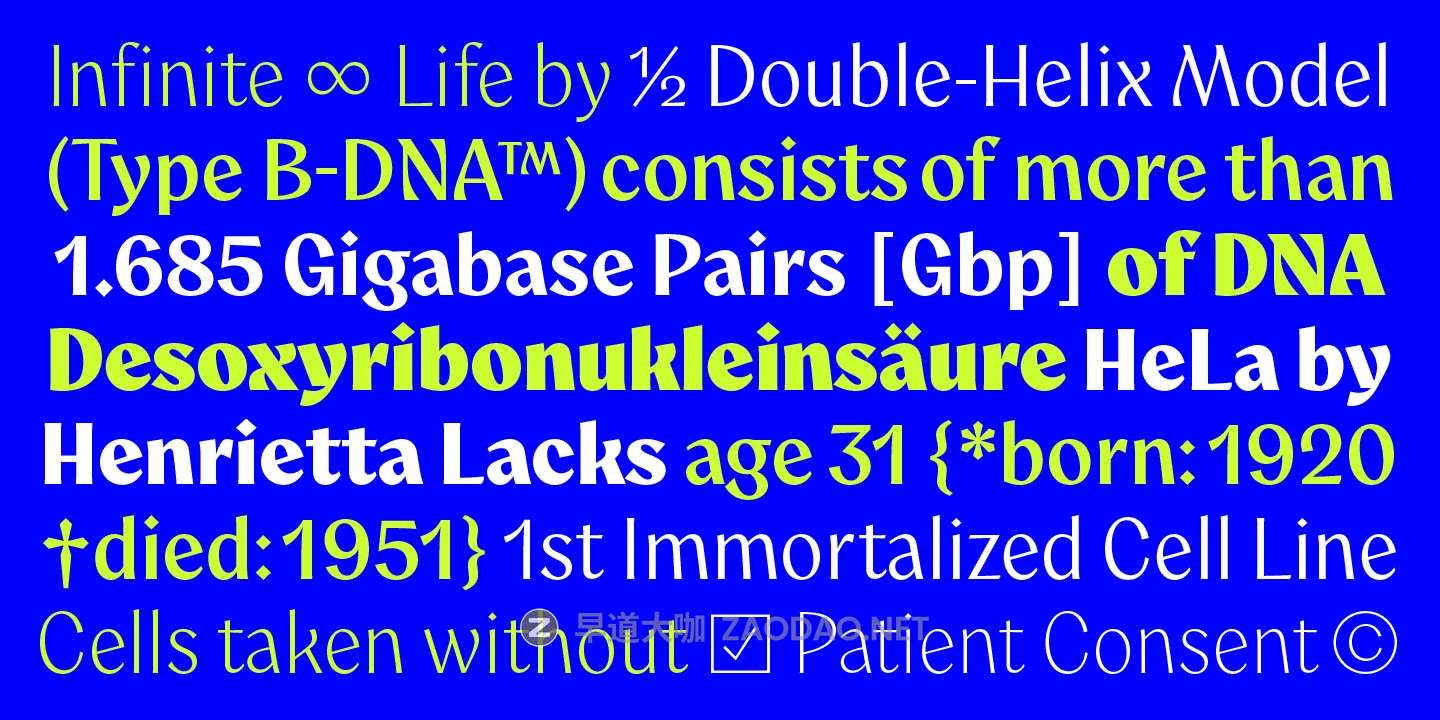 20250930c2w8d 20250930c2w8d