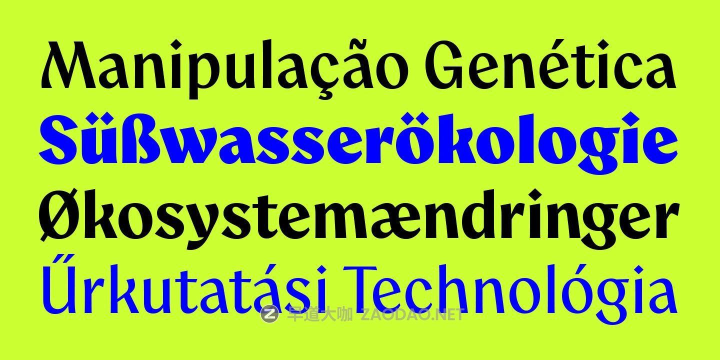 20250930dvror 20250930dvror