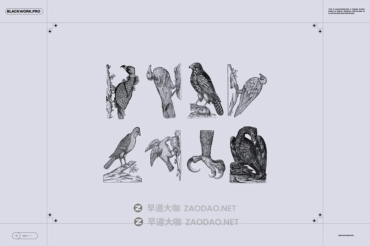 168幅精美高清鸟类自然动物黑白矢量插画插图ai/png格式设计素材 Birds of the World Illustrations插图7 168幅精美高清鸟类自然动物黑白矢量插画插图ai/png格式设计素材 Birds of the World Illustrations插图7