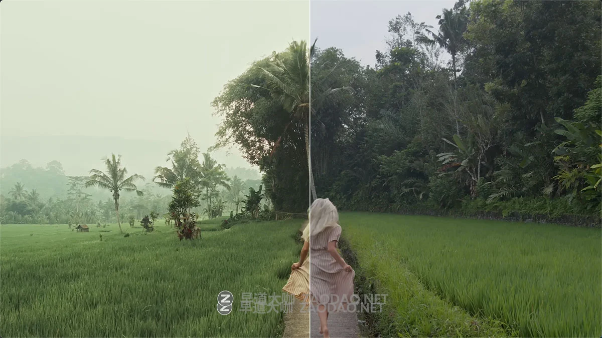 复古风格化电影级青橙冷暖单色胶片模拟色彩分级ACES工作流调色节点+调色教程 (中文字幕) Joo.Works – Advanced Toning Tool插图5 复古风格化电影级青橙冷暖单色胶片模拟色彩分级ACES工作流调色节点+调色教程 (中文字幕) Joo.Works – Advanced Toning Tool插图5