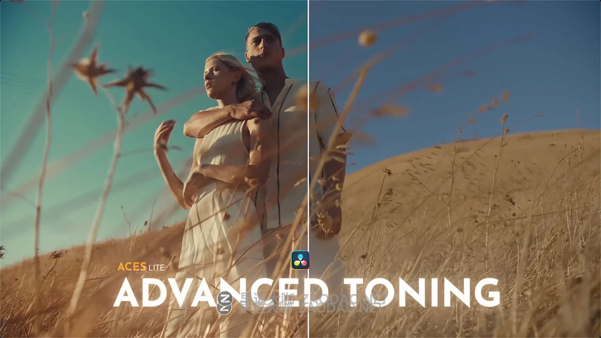 复古风格化电影级青橙冷暖单色胶片模拟色彩分级ACES工作流调色节点+调色教程 (中文字幕) Joo.Works – Advanced Toning Tool插图2 复古风格化电影级青橙冷暖单色胶片模拟色彩分级ACES工作流调色节点+调色教程 (中文字幕) Joo.Works – Advanced Toning Tool插图2