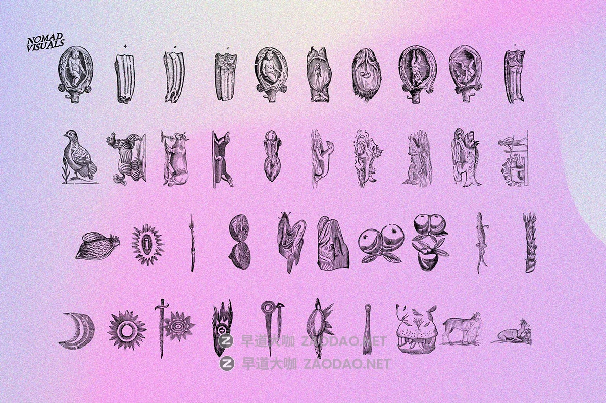 480幅文艺复兴历史人物动物植物手绘线稿版画海报ai矢量设计素材 Prodigiorum Naturae – Illustrations插图10 480幅文艺复兴历史人物动物植物手绘线稿版画海报ai矢量设计素材 Prodigiorum Naturae – Illustrations插图10