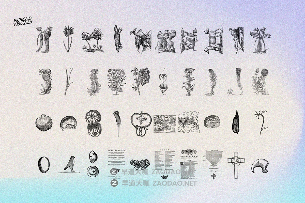 480幅文艺复兴历史人物动物植物手绘线稿版画海报ai矢量设计素材 Prodigiorum Naturae – Illustrations插图14 480幅文艺复兴历史人物动物植物手绘线稿版画海报ai矢量设计素材 Prodigiorum Naturae – Illustrations插图14