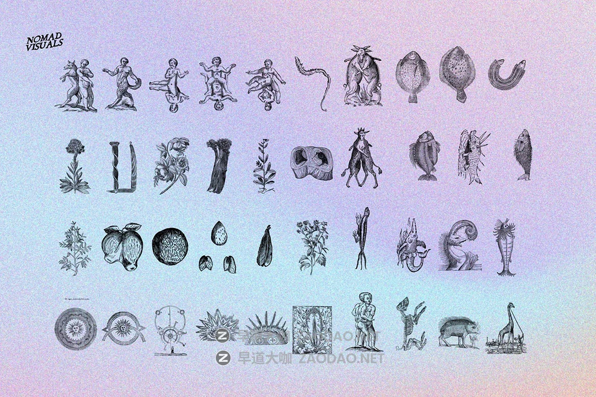 480幅文艺复兴历史人物动物植物手绘线稿版画海报ai矢量设计素材 Prodigiorum Naturae – Illustrations插图15 480幅文艺复兴历史人物动物植物手绘线稿版画海报ai矢量设计素材 Prodigiorum Naturae – Illustrations插图15