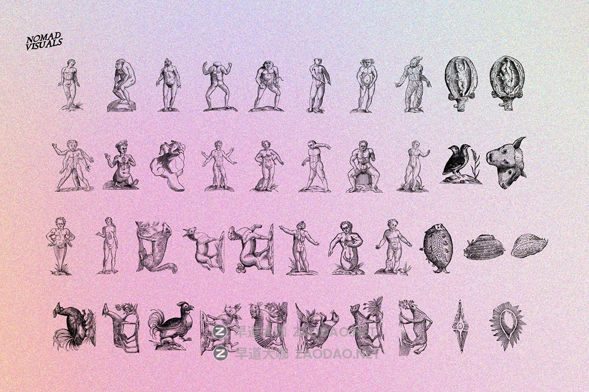 480幅文艺复兴历史人物动物植物手绘线稿版画海报ai矢量设计素材 Prodigiorum Naturae – Illustrations插图18 480幅文艺复兴历史人物动物植物手绘线稿版画海报ai矢量设计素材 Prodigiorum Naturae – Illustrations插图18