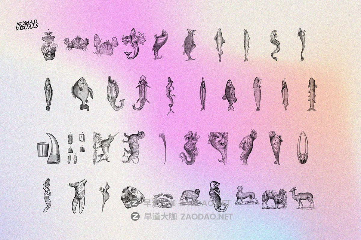 480幅文艺复兴历史人物动物植物手绘线稿版画海报ai矢量设计素材 Prodigiorum Naturae – Illustrations插图4 480幅文艺复兴历史人物动物植物手绘线稿版画海报ai矢量设计素材 Prodigiorum Naturae – Illustrations插图4