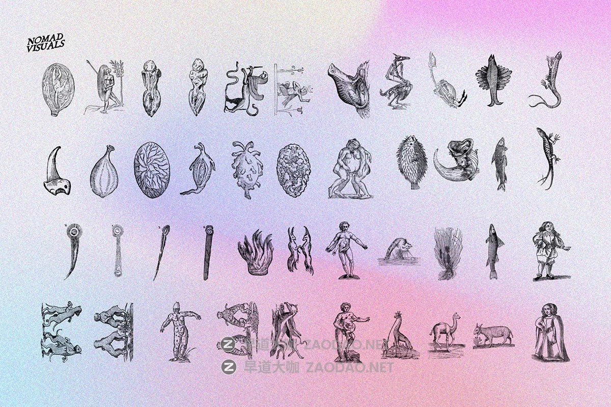 480幅文艺复兴历史人物动物植物手绘线稿版画海报ai矢量设计素材 Prodigiorum Naturae – Illustrations插图7 480幅文艺复兴历史人物动物植物手绘线稿版画海报ai矢量设计素材 Prodigiorum Naturae – Illustrations插图7