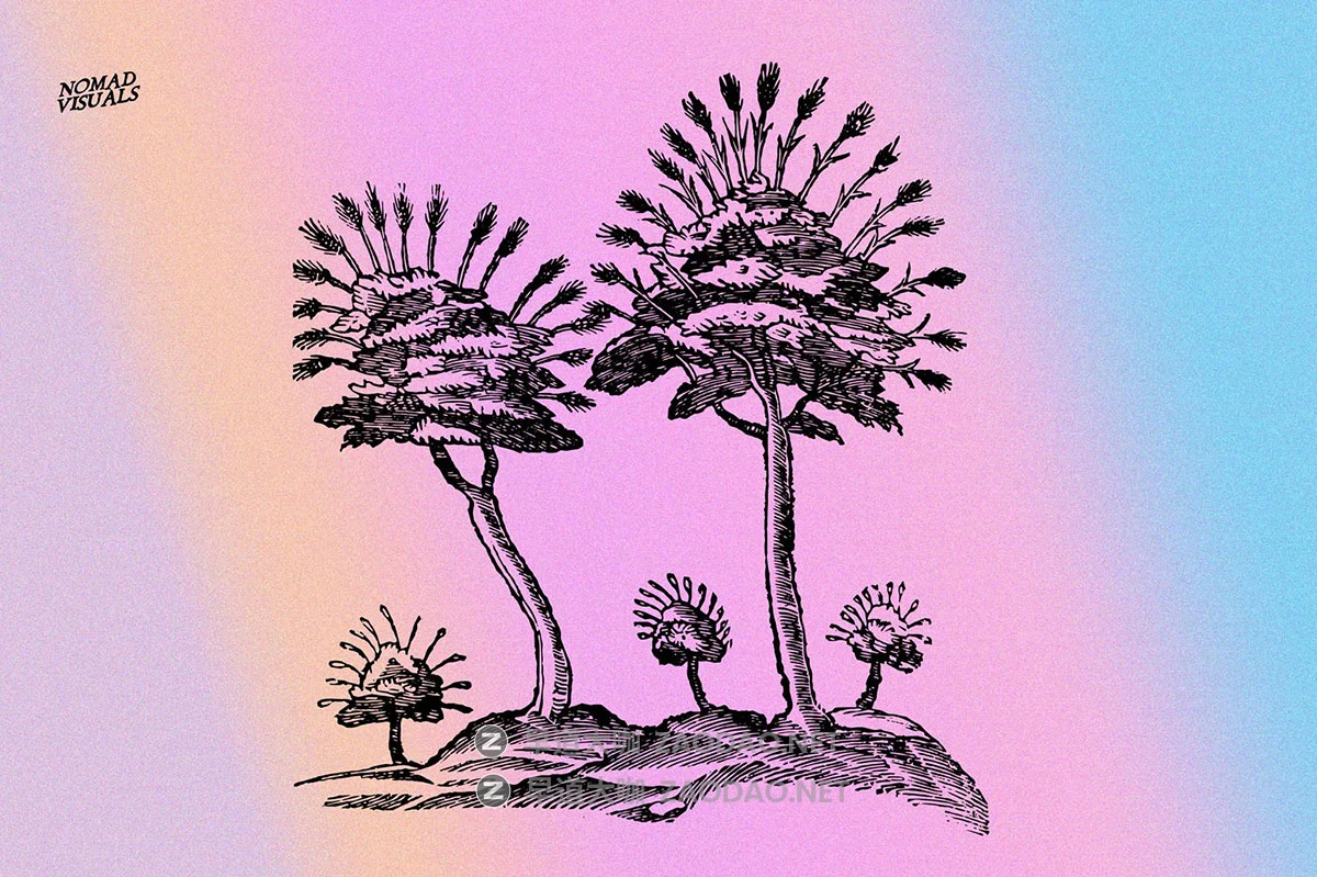 480幅文艺复兴历史人物动物植物手绘线稿版画海报ai矢量设计素材 Prodigiorum Naturae – Illustrations插图8 480幅文艺复兴历史人物动物植物手绘线稿版画海报ai矢量设计素材 Prodigiorum Naturae – Illustrations插图8