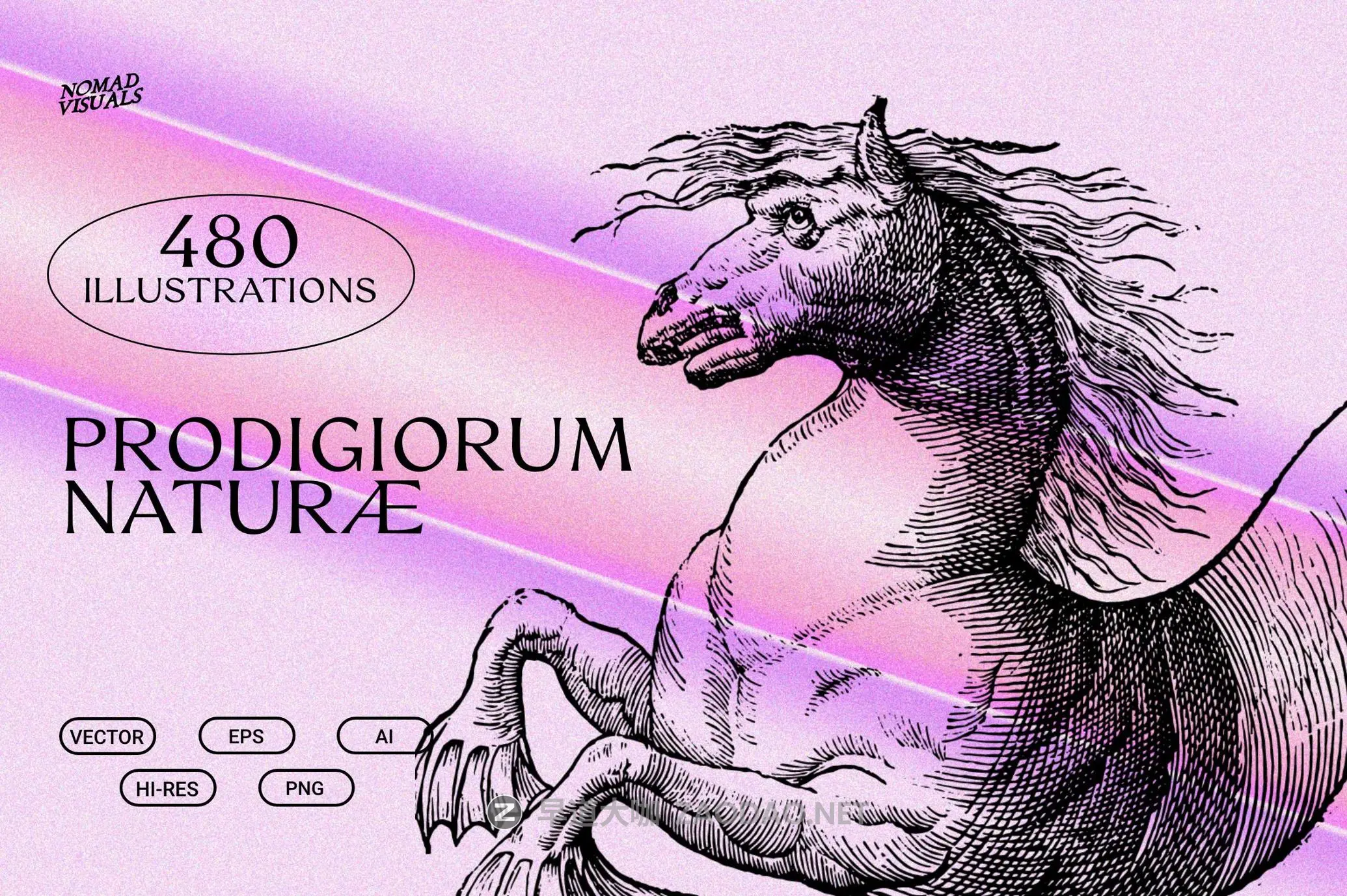 480幅文艺复兴历史人物动物植物手绘线稿版画海报ai矢量设计素材 Prodigiorum Naturae – Illustrations插图 480幅文艺复兴历史人物动物植物手绘线稿版画海报ai矢量设计素材 Prodigiorum Naturae – Illustrations插图