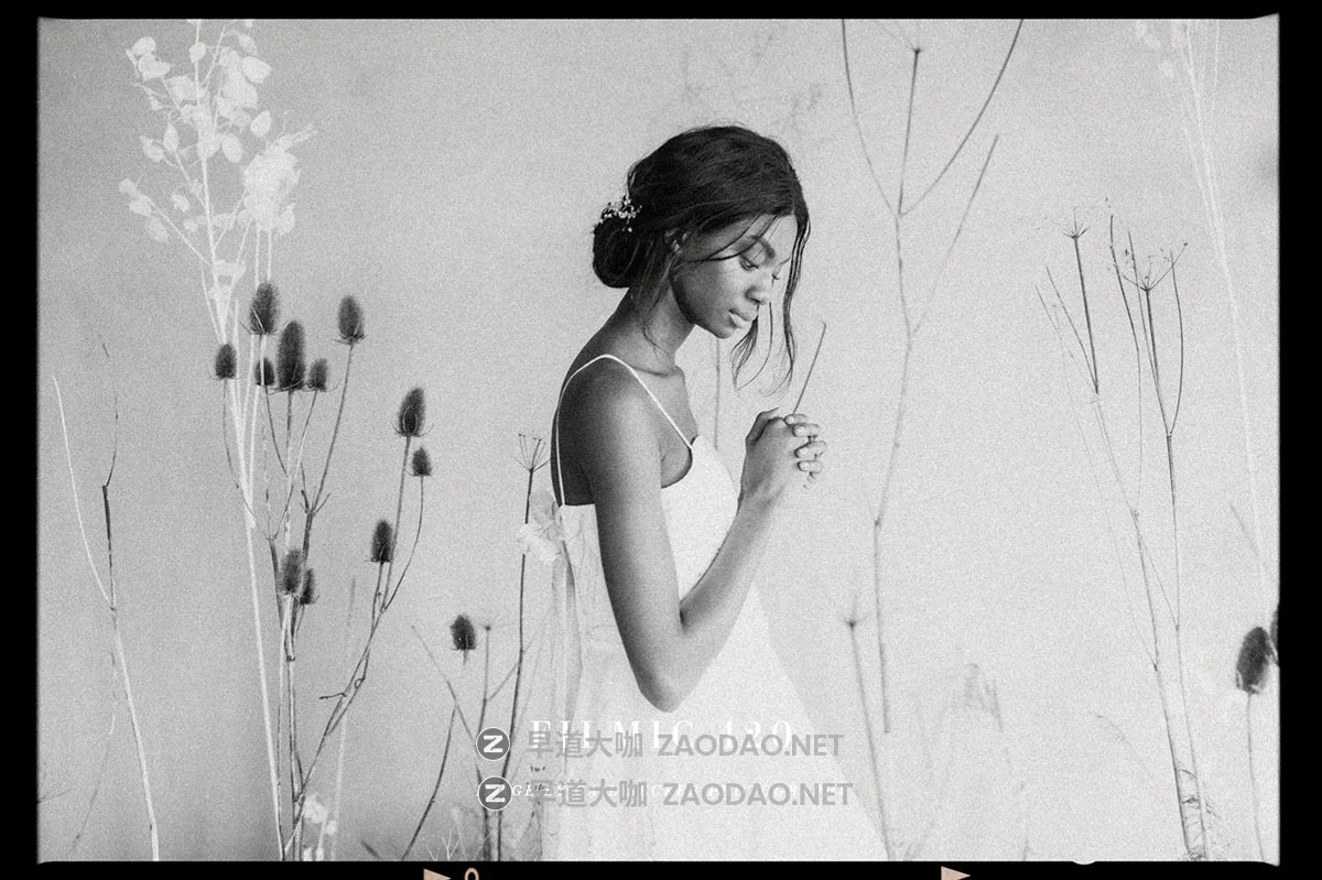 复古Super 8/Filmic 120/35mm胶片边框 漏光颗粒纹理模拟电影美学婚礼结婚照旅拍摄影调色LR预设 Archipelago Quest – Quest 07 Presets插图1 复古Super 8/Filmic 120/35mm胶片边框 漏光颗粒纹理模拟电影美学婚礼结婚照旅拍摄影调色LR预设 Archipelago Quest – Quest 07 Presets插图1