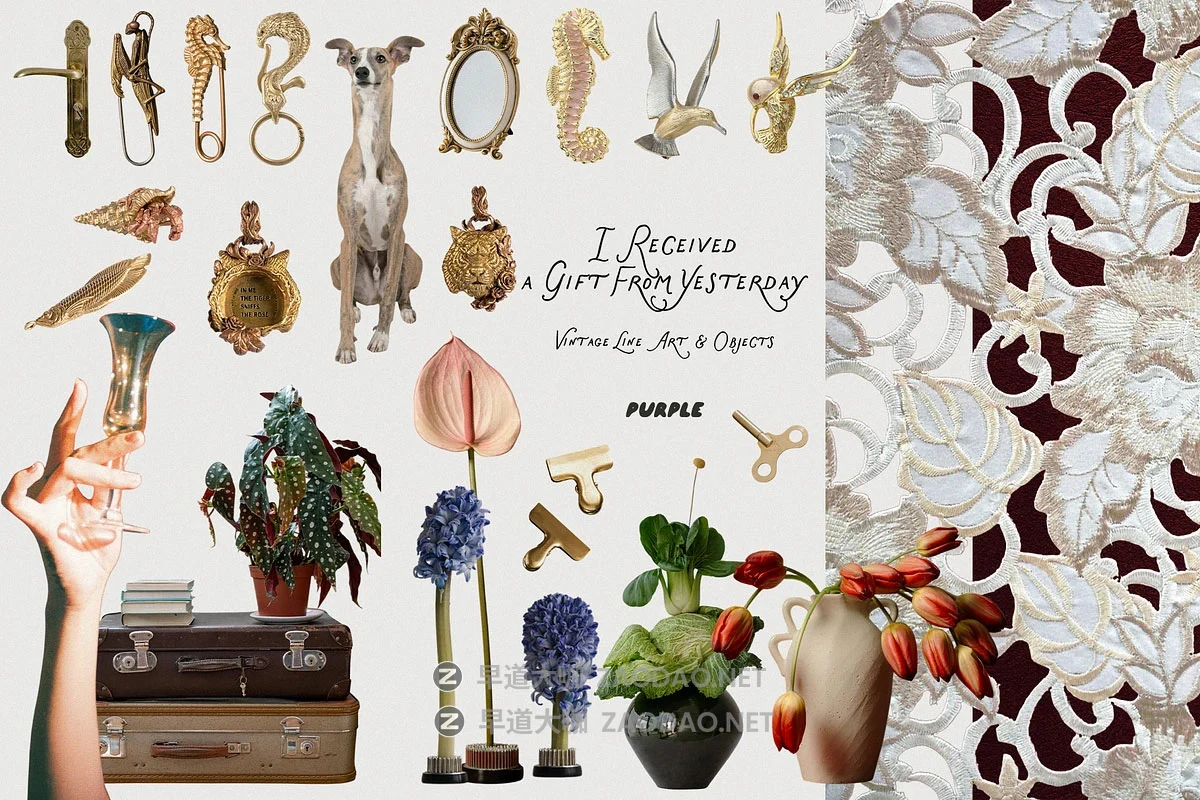 220+款复古永恒线条相机相框纸张物品情绪版设计剪贴拼贴PNG免抠图设计素材 Vintage Objects & Line Art插图9 220+款复古永恒线条相机相框纸张物品情绪版设计剪贴拼贴PNG免抠图设计素材 Vintage Objects & Line Art插图9