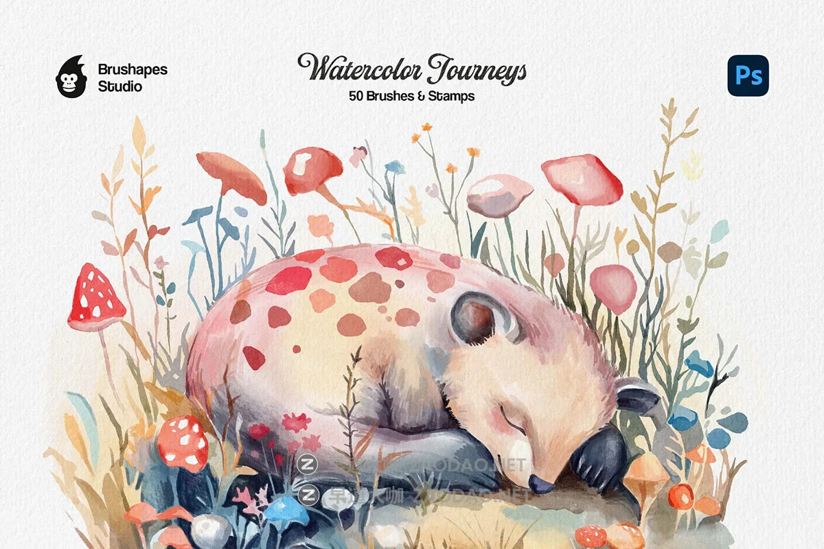50款丰富多彩仿真水彩艺术绘画ps笔刷调色板设计素材包 Watercolor Journey Photoshop Brushes插图3 50款丰富多彩仿真水彩艺术绘画ps笔刷调色板设计素材包 Watercolor Journey Photoshop Brushes插图3