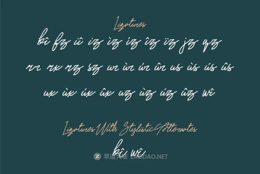 时尚优雅品牌海报徽标设计手写英文字体安装包 Mythic Sunset Signature Script Font插图9 时尚优雅品牌海报徽标设计手写英文字体安装包 Mythic Sunset Signature Script Font插图9