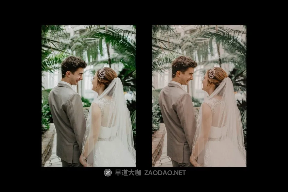 优雅浪漫柔和色调订婚婚礼电影照片调色Lightroom预设 Wedding Presets插图3 优雅浪漫柔和色调订婚婚礼电影照片调色Lightroom预设 Wedding Presets插图3