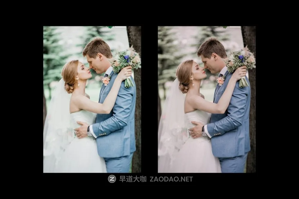 优雅浪漫柔和色调订婚婚礼电影照片调色Lightroom预设 Wedding Presets插图6 优雅浪漫柔和色调订婚婚礼电影照片调色Lightroom预设 Wedding Presets插图6