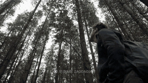 20251009rp7w4 20251009rp7w4