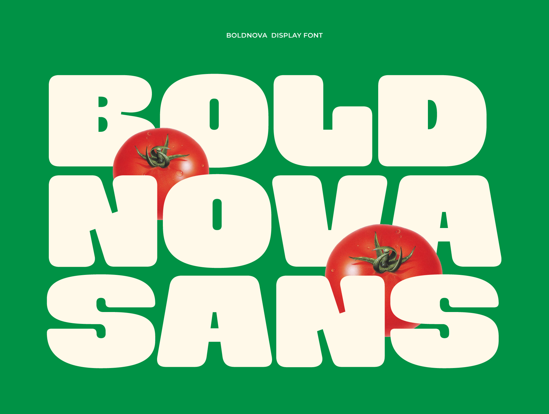 复古圆润超粗海报食品品牌包装标题logo设计psai英文字体安装包 Boldnova Font特色图 复古圆润超粗海报食品品牌包装标题logo设计psai英文字体安装包 Boldnova Font