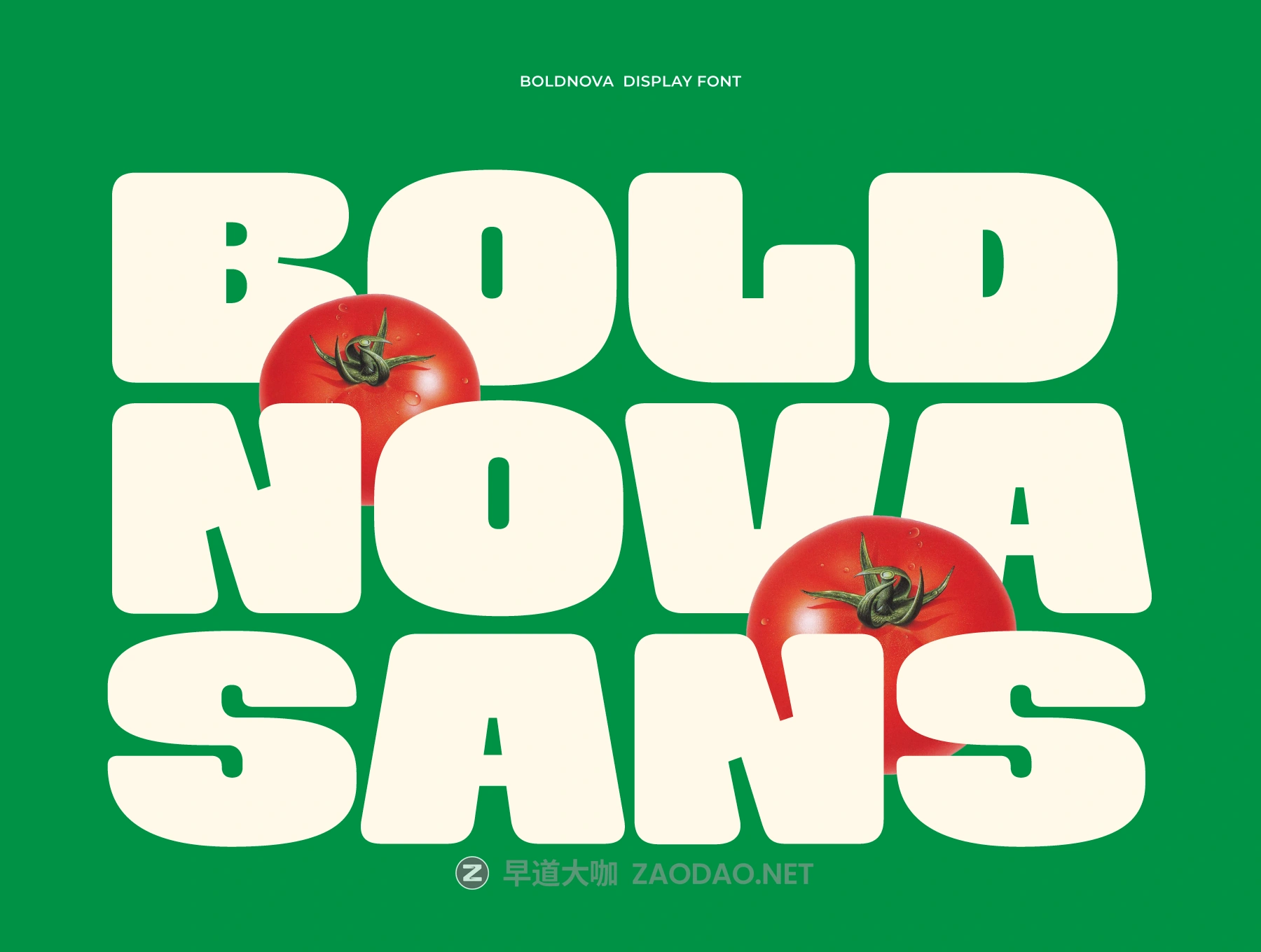 20251018dzzl5 20251018dzzl5