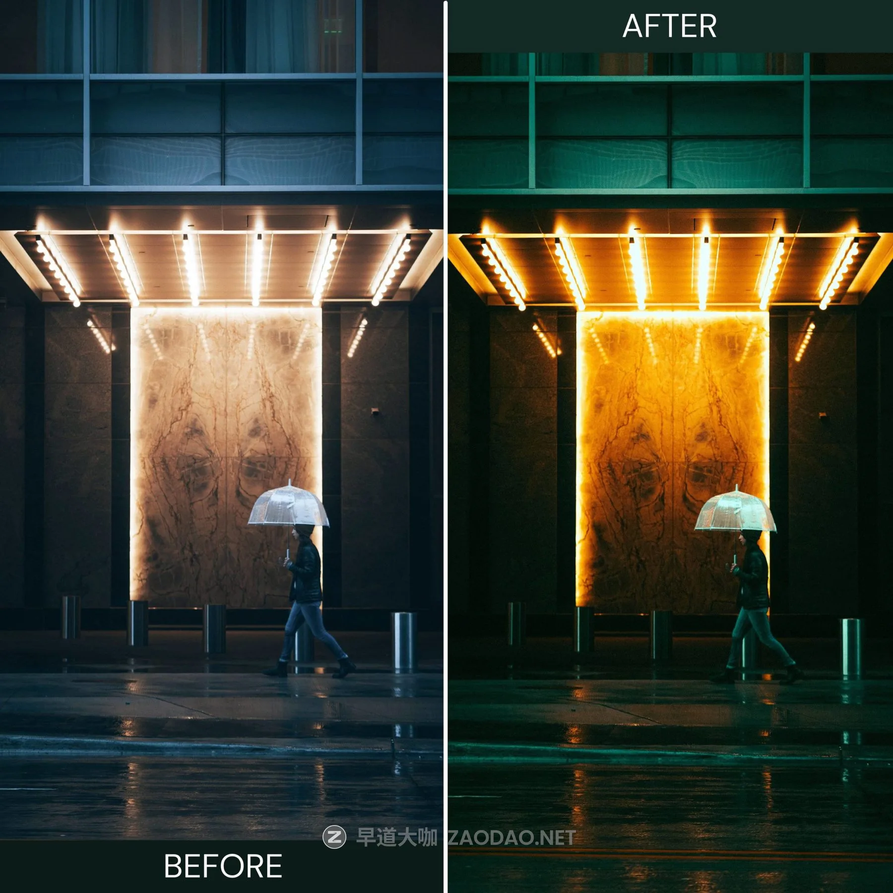 202510205c1xj 202510205c1xj