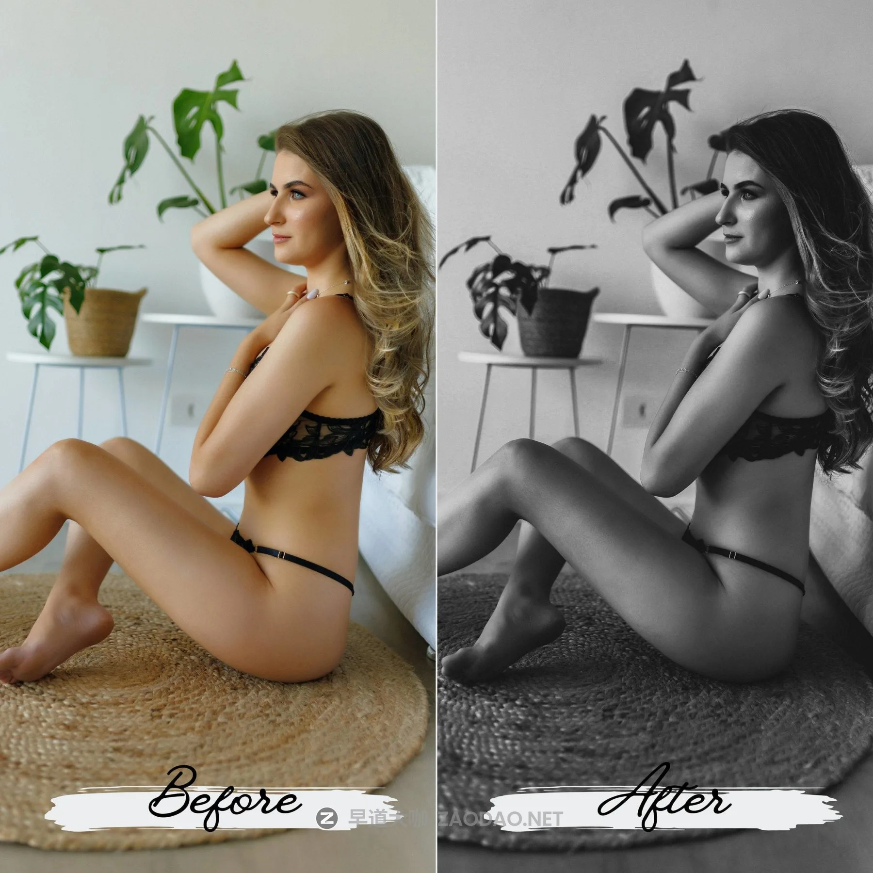 202510227ttlc 202510227ttlc