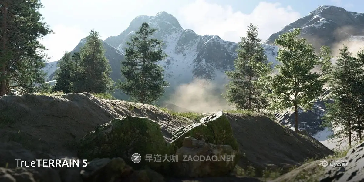 20251031z77oo 20251031z77oo