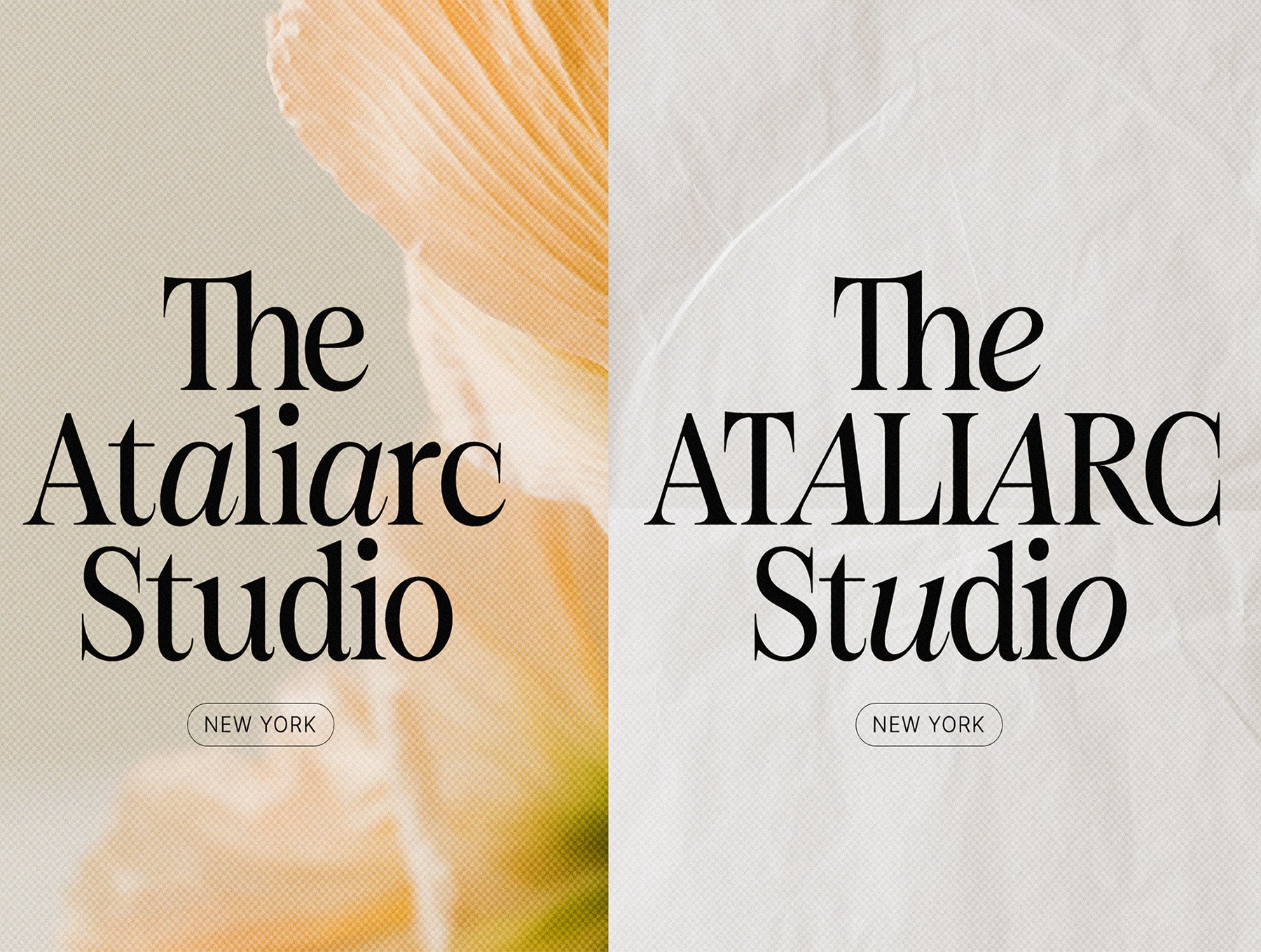 现代时尚品牌杂志海报徽标设计衬线英文字体安装包 Figo Shiftz Editorial插图9 现代时尚品牌杂志海报徽标设计衬线英文字体安装包 Figo Shiftz Editorial插图9