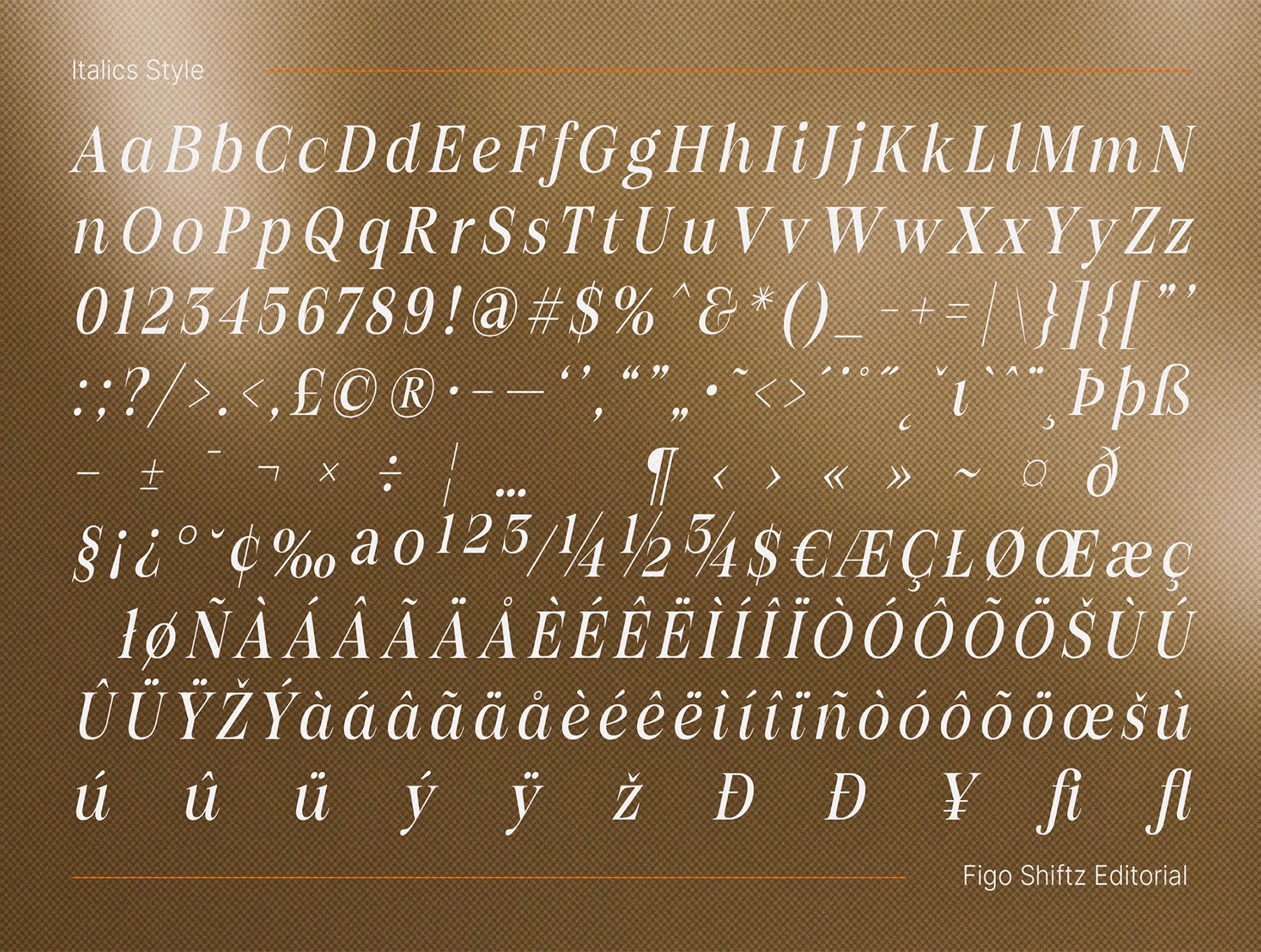 现代时尚品牌杂志海报徽标设计衬线英文字体安装包 Figo Shiftz Editorial插图4 现代时尚品牌杂志海报徽标设计衬线英文字体安装包 Figo Shiftz Editorial插图4