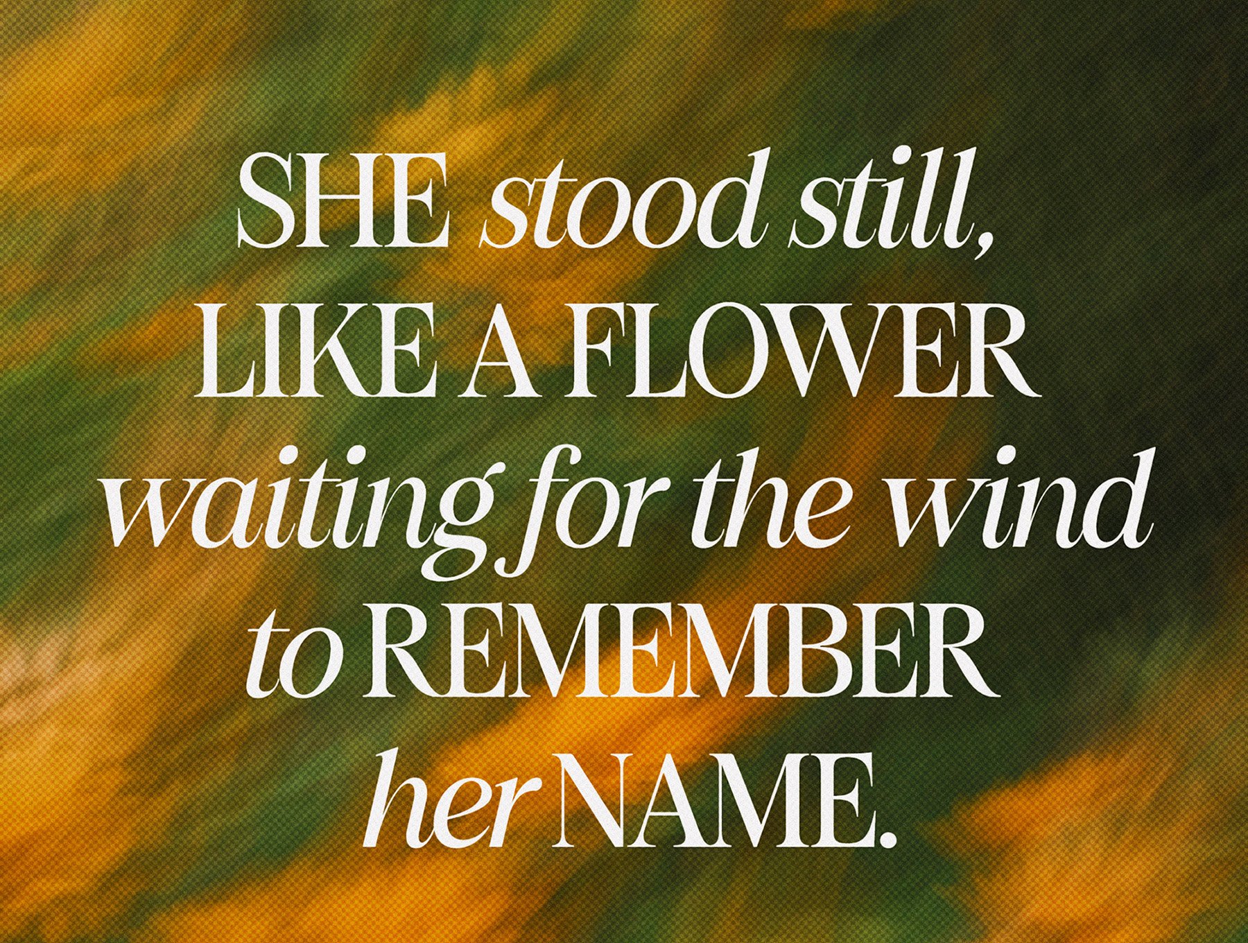 现代时尚品牌杂志海报徽标设计衬线英文字体安装包 Figo Shiftz Editorial插图2 现代时尚品牌杂志海报徽标设计衬线英文字体安装包 Figo Shiftz Editorial插图2