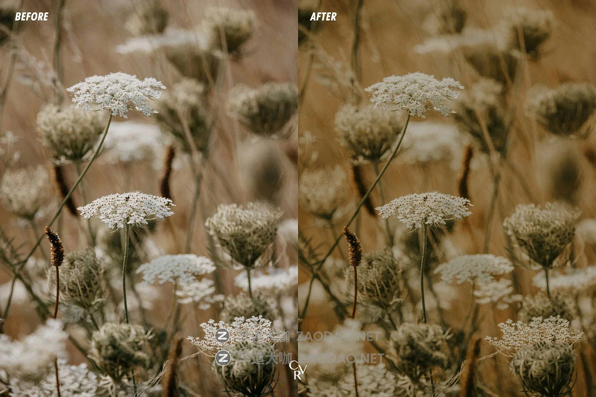 25组复古温暖色调电影级胶片模拟颗粒效果旅拍婚礼结婚照摄影照片调色Lightroom预设 支持手机LR CVR Presets – 25 Cottage Lightroom Presets for Desktop And Mobile插图2 25组复古温暖色调电影级胶片模拟颗粒效果旅拍婚礼结婚照摄影照片调色Lightroom预设 支持手机LR CVR Presets – 25 Cottage Lightroom Presets for Desktop And Mobile插图2